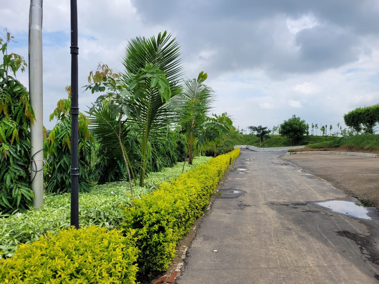 Ayodhya–Basti Highway Plantation