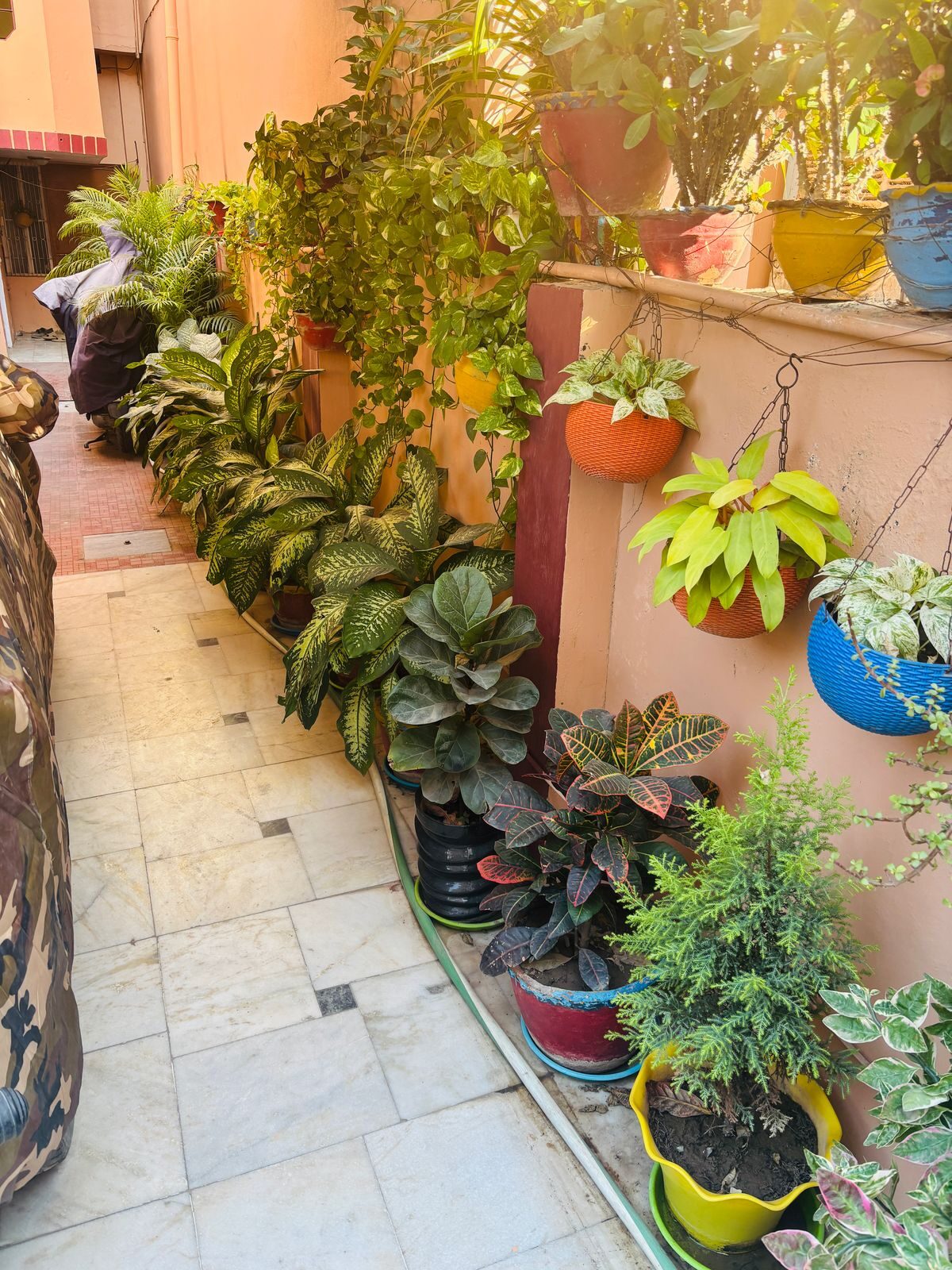 Courtyard garden