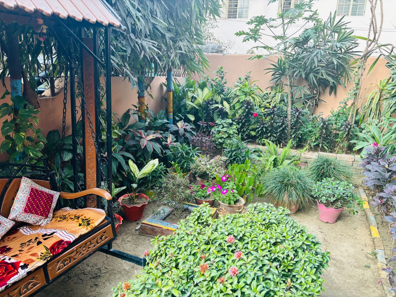 Indoor plants