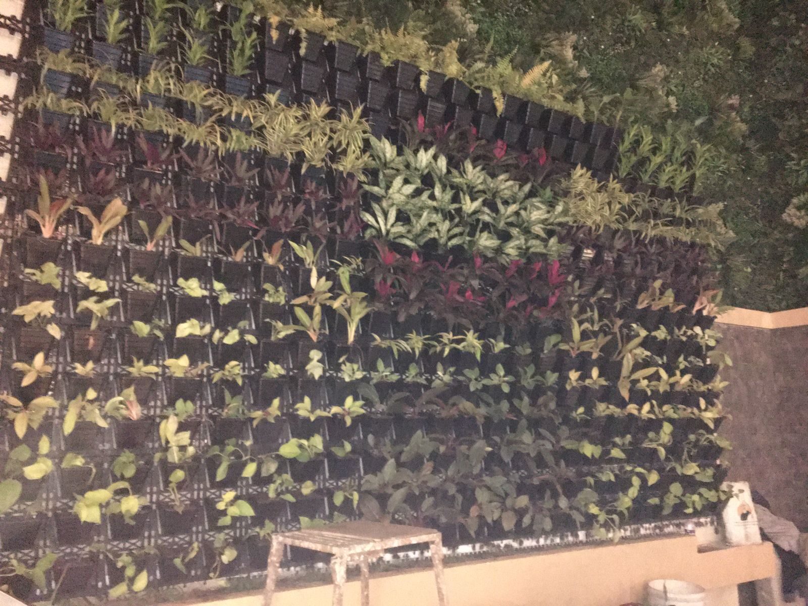 Vertical garden